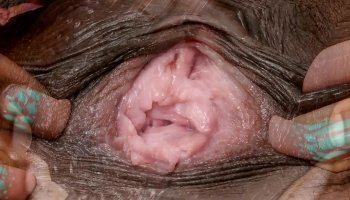 asian lesbian porn rape